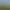 Un green de golf avec un drapeau marqué de rayures rouges et blanches sous un ciel partiellement nuageux, entouré d'arbres