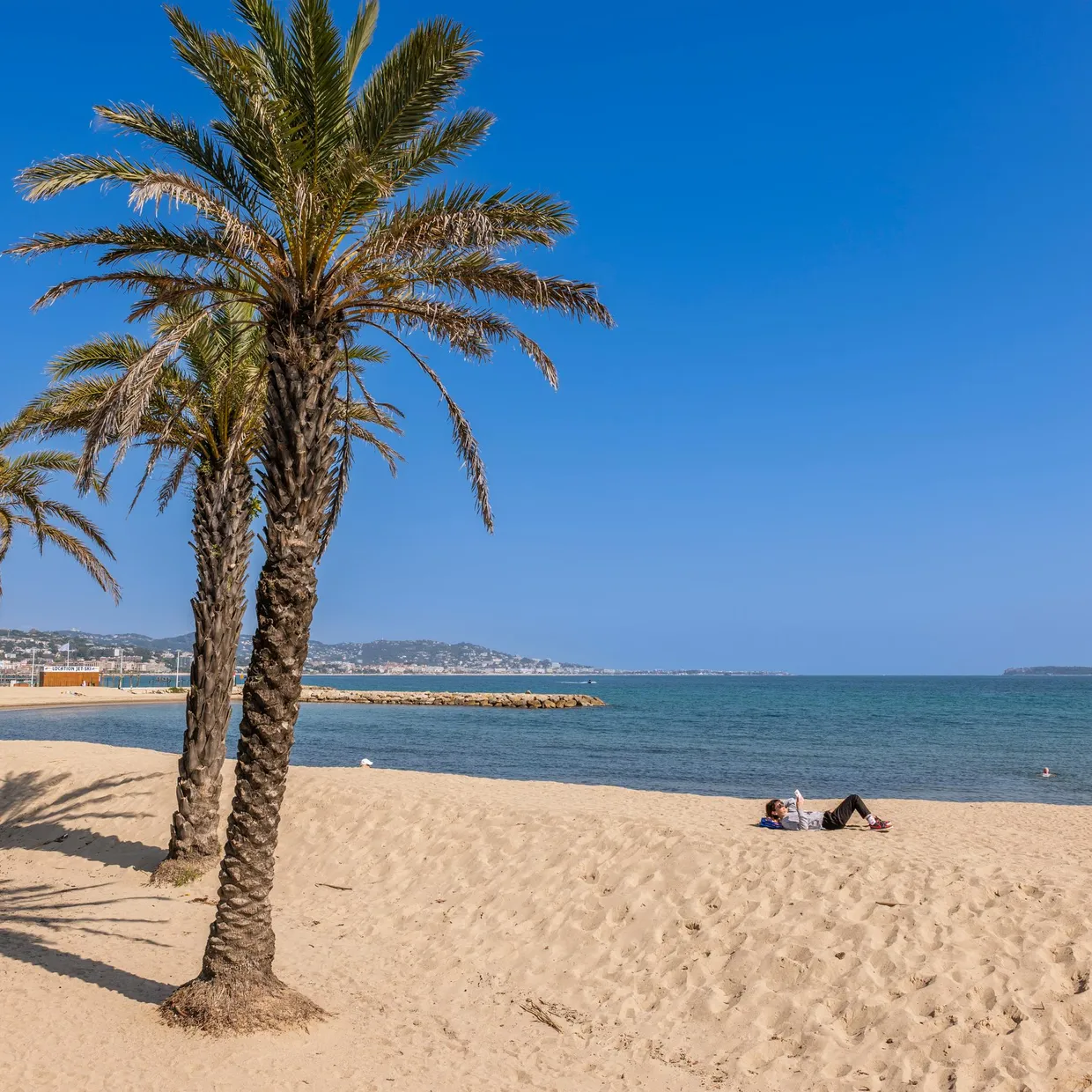 Three palm trees on a fine sandy beach with a person lying nearby and the sea in the background under a clear blue sky.