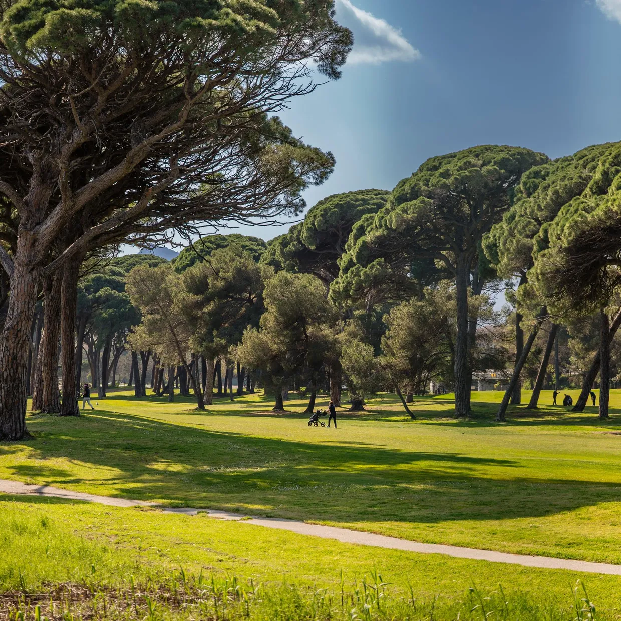 A park with trees and a green lawn under a partly cloudy sky