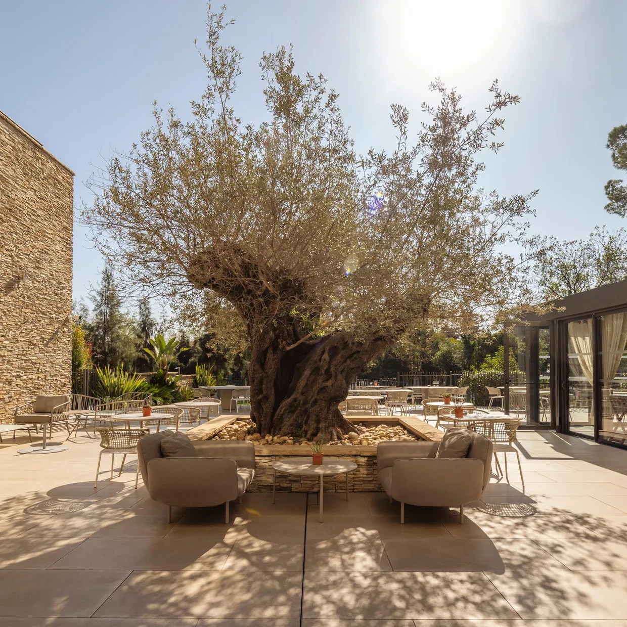 Outdoor terrace with furniture, a central tree, and stone and glass buildings in the background