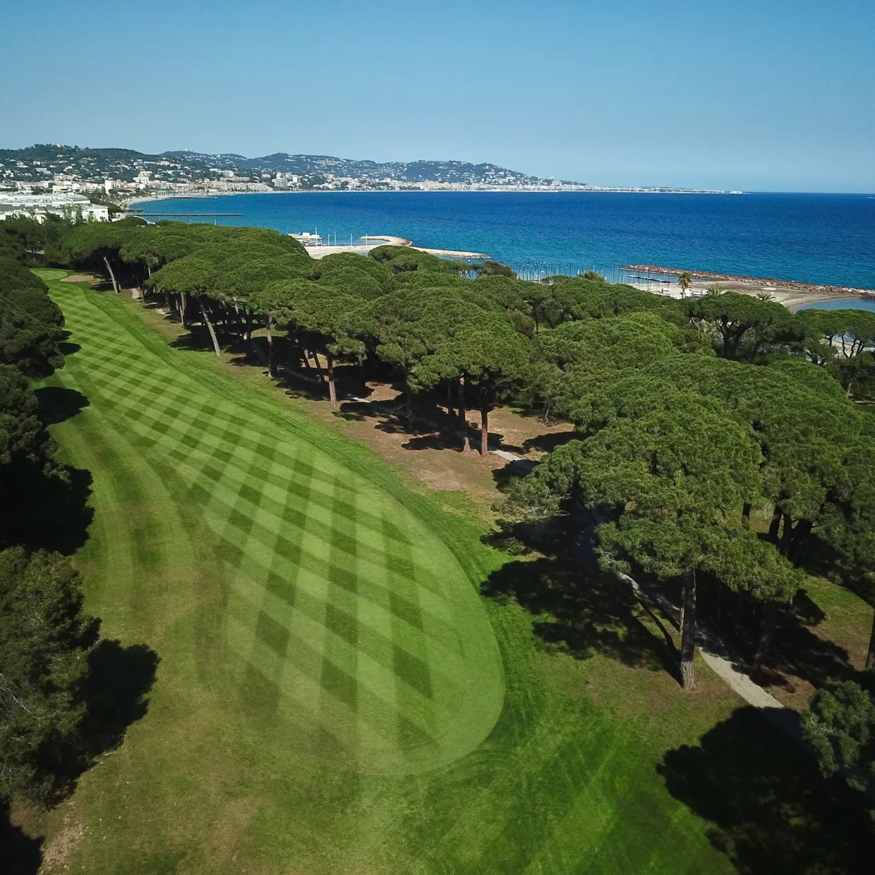 Aerial view of a golf course with trees and a blue sea in the background