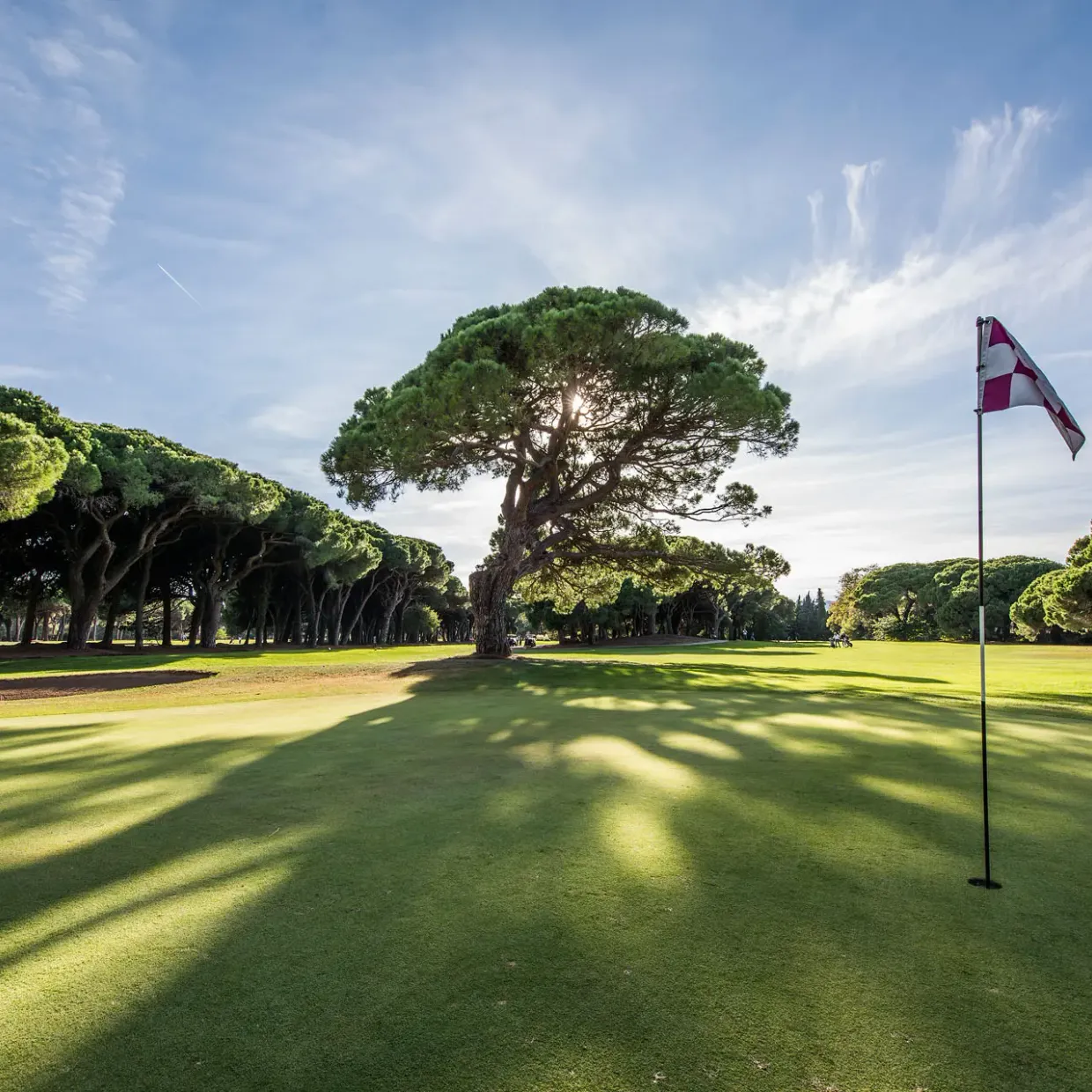 A golf green with a flag marked with red and white stripes under a partly cloudy sky, surrounded by trees
