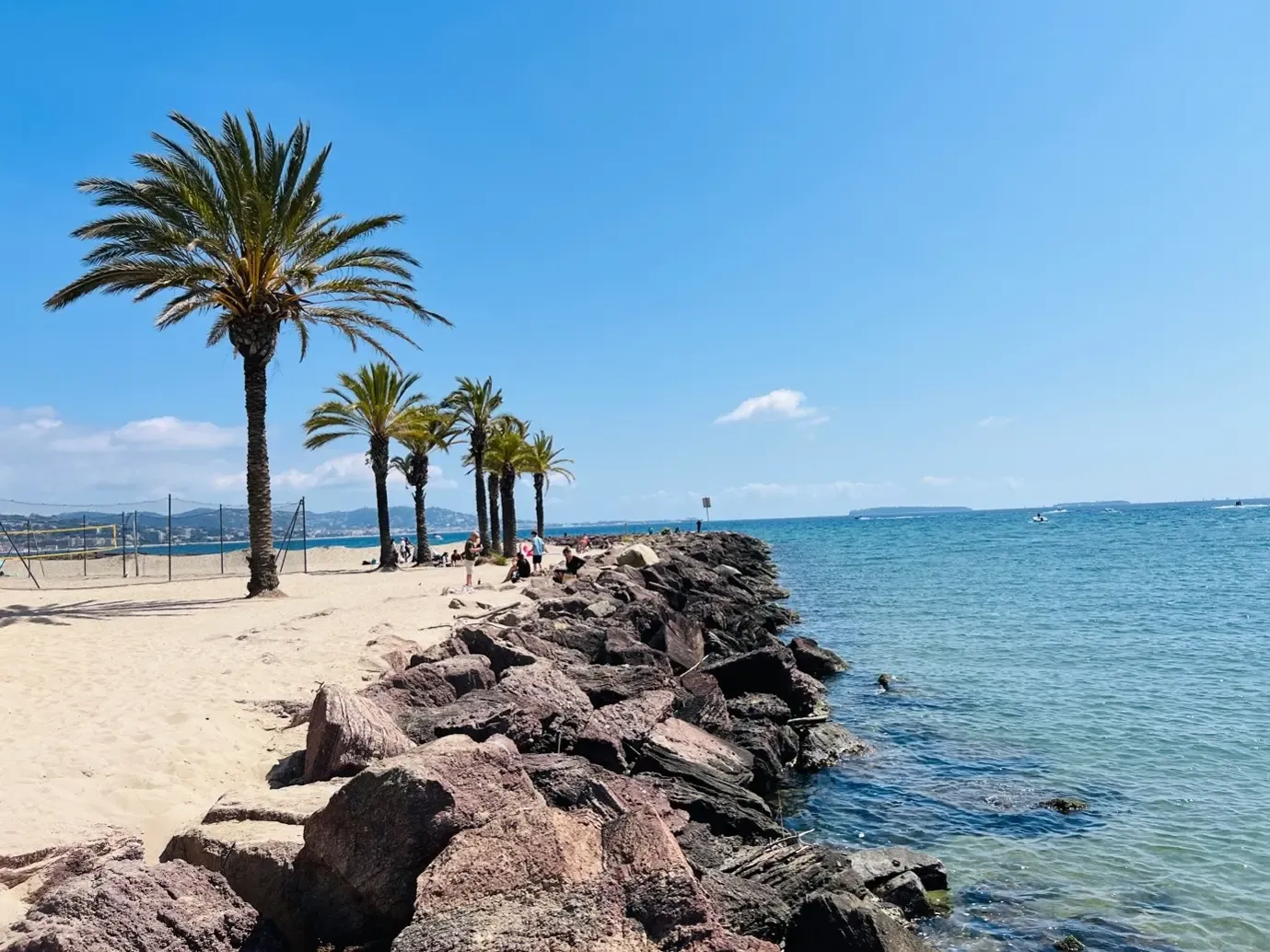 A sandy beach with palm trees and rocks bordering a blue sea under a clear sky