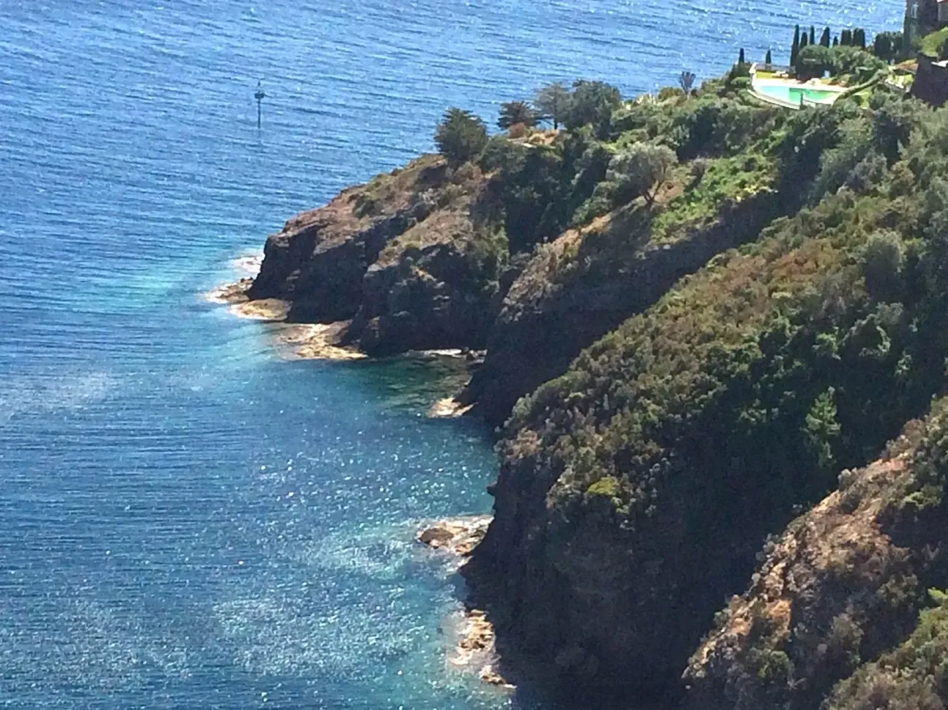 A rocky coastline with dense vegetation bordering a clear blue sea