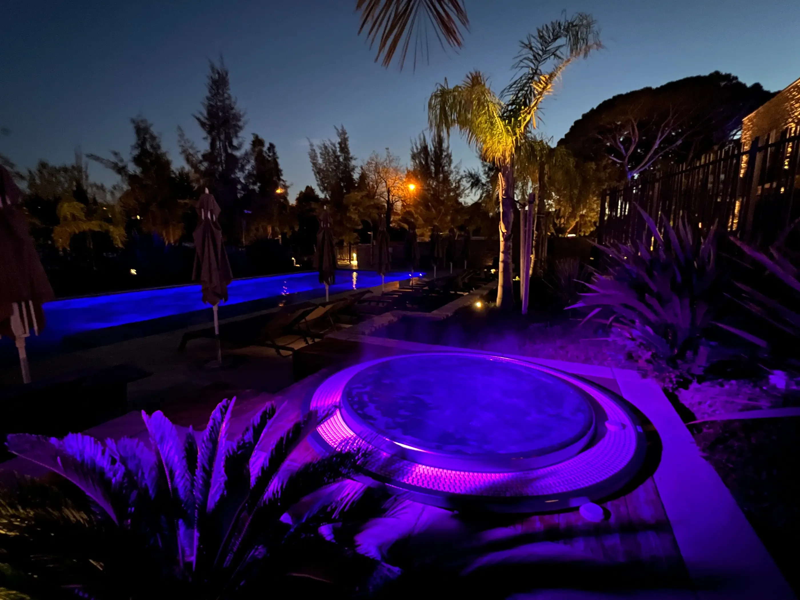 Blue and violet-lit pool surrounded by vegetation and lounge chairs, with palm trees and trees in the background