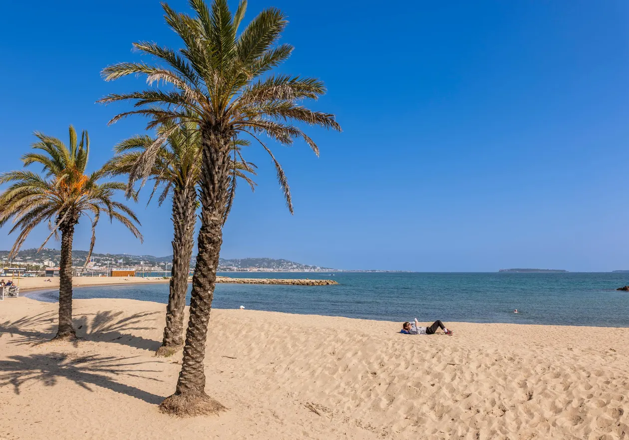 Three palm trees on a fine sandy beach with a person lying nearby and the sea in the background under a clear blue sky.
