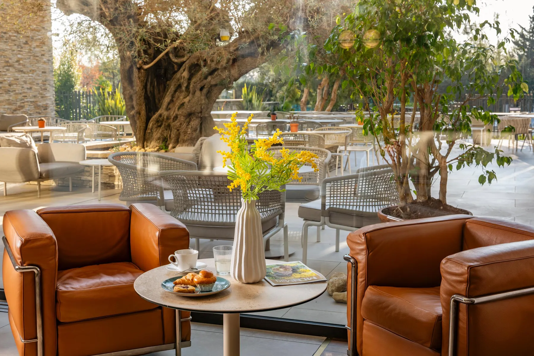 An outdoor lounge with brown leather armchairs, a coffee table with a cup, a glass of water, croissants, and a vase of yellow flowers, surrounded by plants and wicker tables.