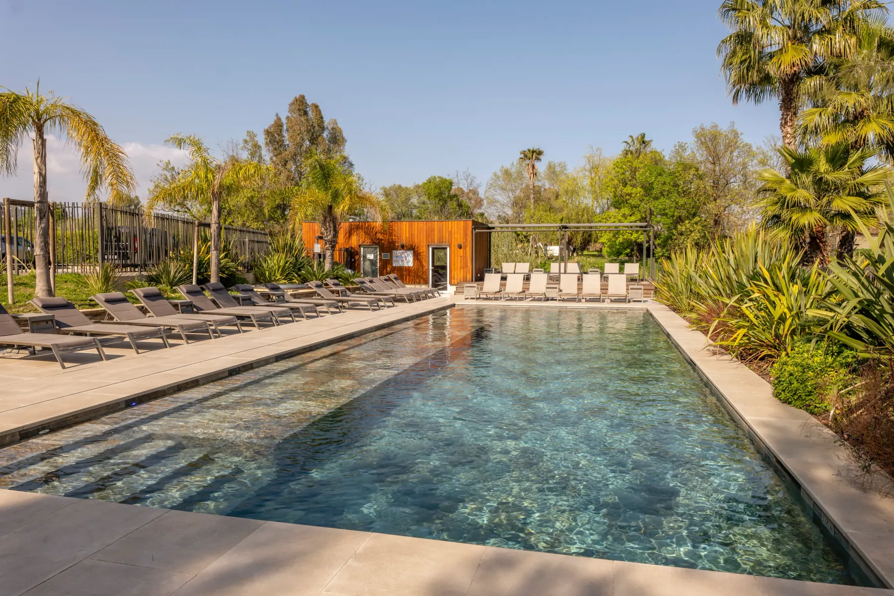 Rectangular swimming pool surrounded by sun loungers, with palm trees and plants in the background, and a wooden building at the rear