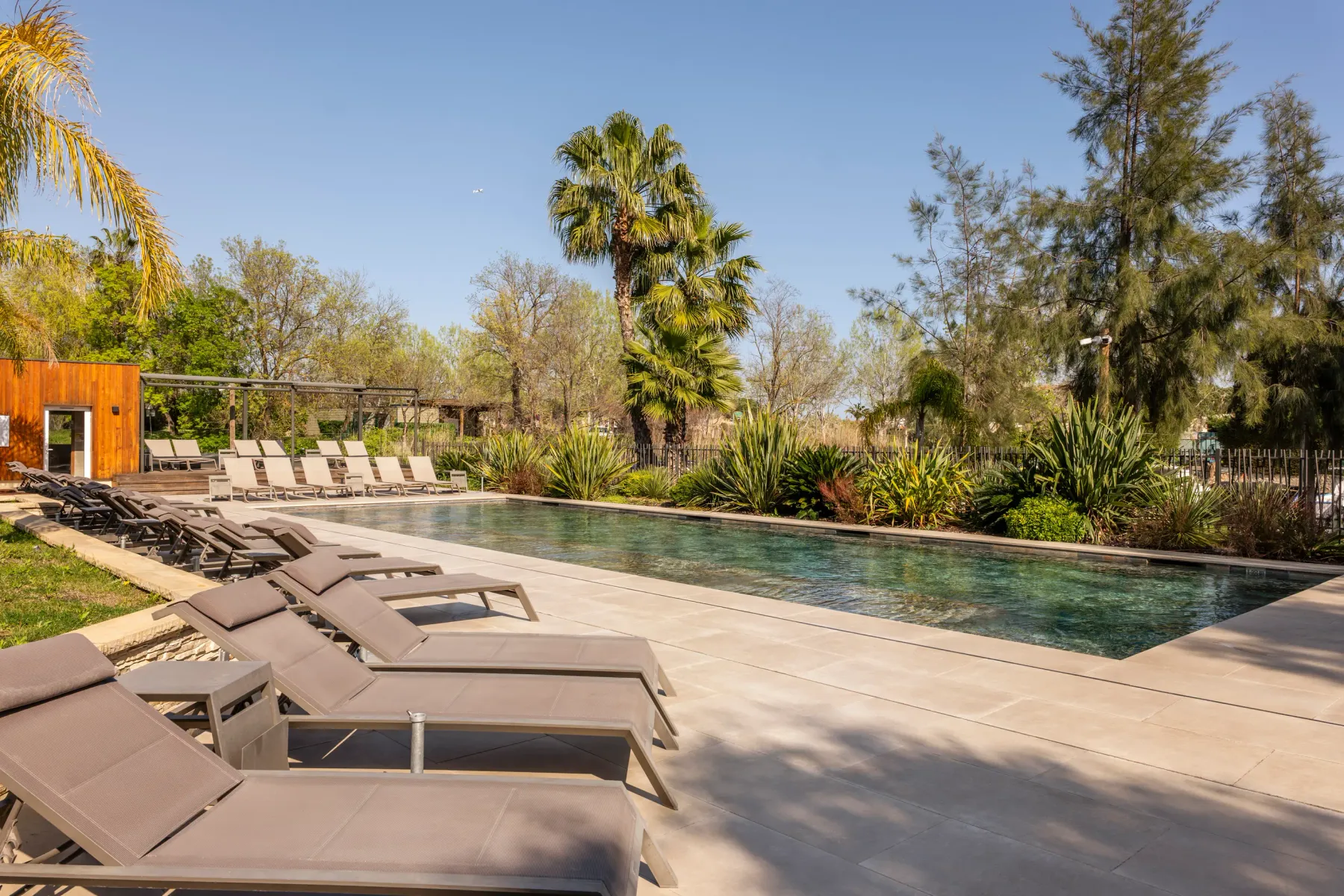 Pool surrounded by sun loungers and vegetation with trees and bushes in the background