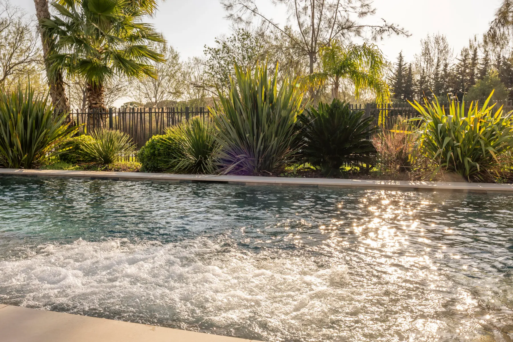 Pool with active water jets, surrounded by vegetation and palm trees, under solar lighting