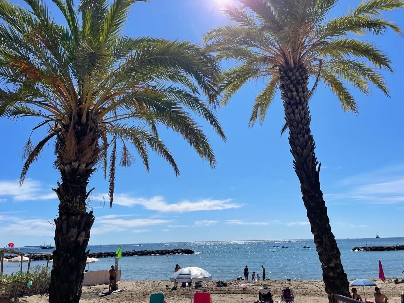 Deux palmiers sur une plage avec des gens, la mer et un ciel bleu en arrière-plan