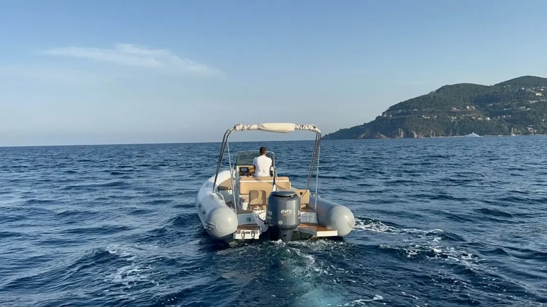 Un bateau à moteur blanc navigue sur une mer calme avec une personne à bord, en arrière-plan une côte montagneuse et boisée