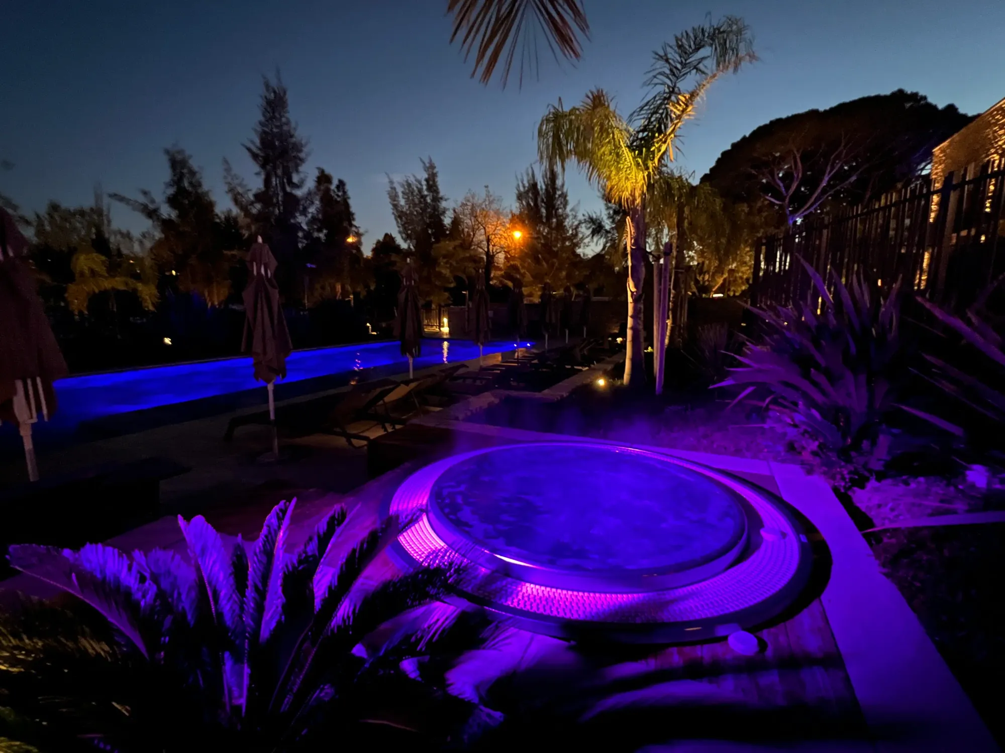 Blue and violet-lit pool surrounded by vegetation and lounge chairs, with palm trees and trees in the background