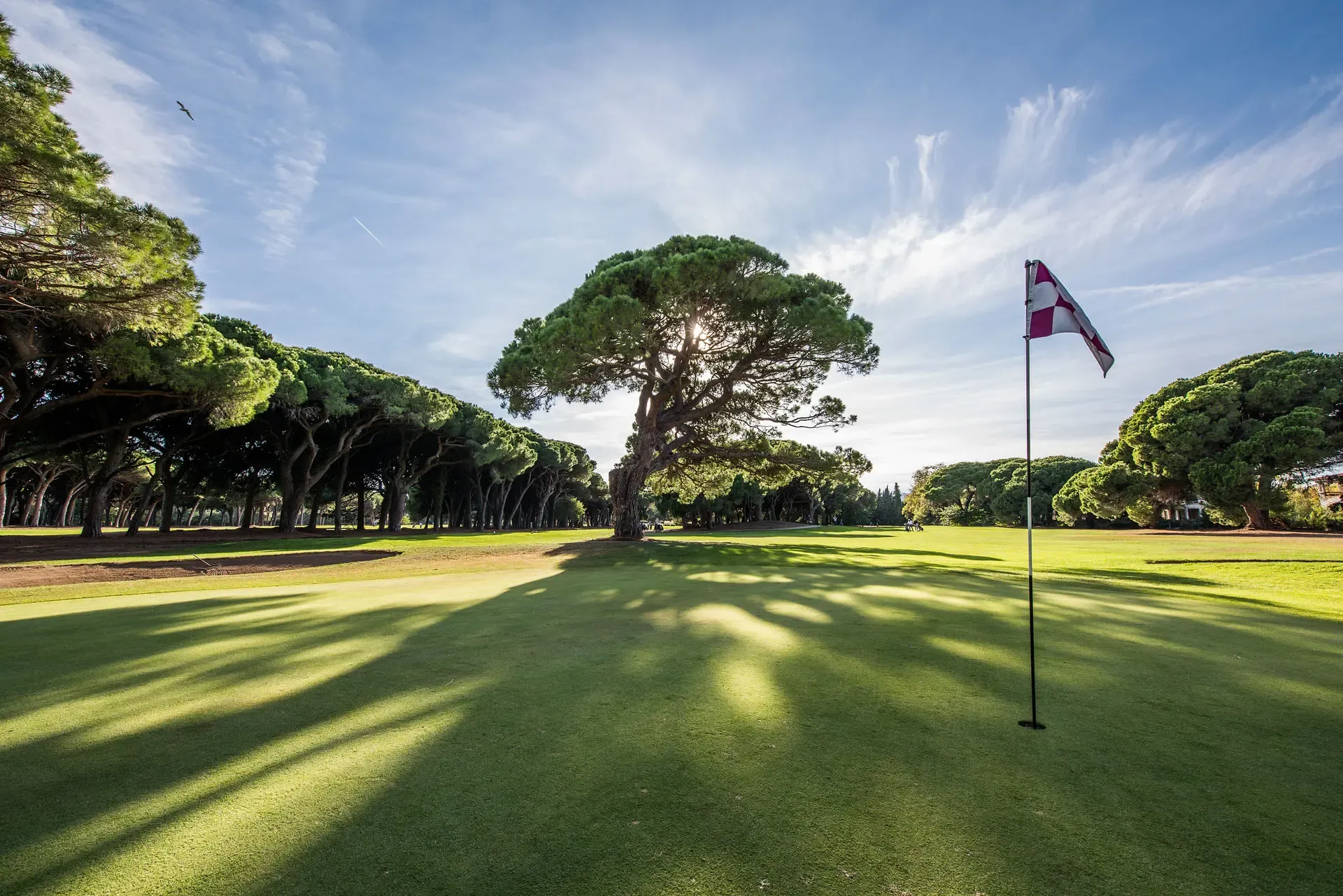 A golf green with a flag marked with red and white stripes under a partly cloudy sky, surrounded by trees